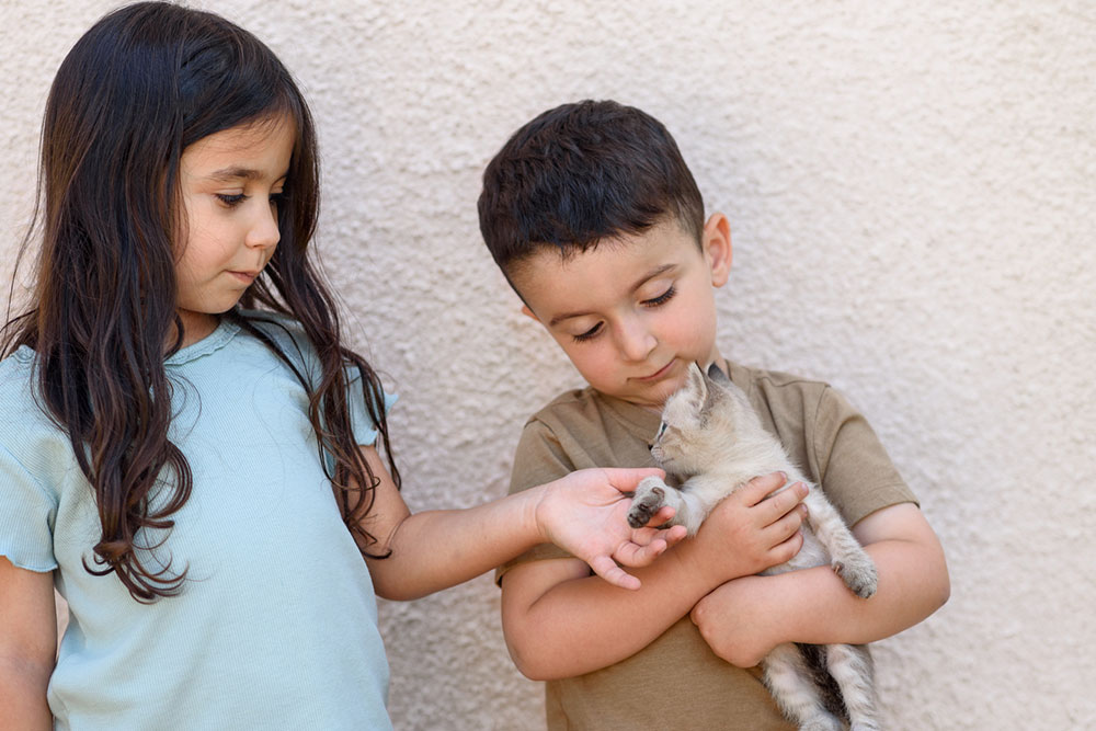 10 Must-Have Accessories for Welcoming a New Pet