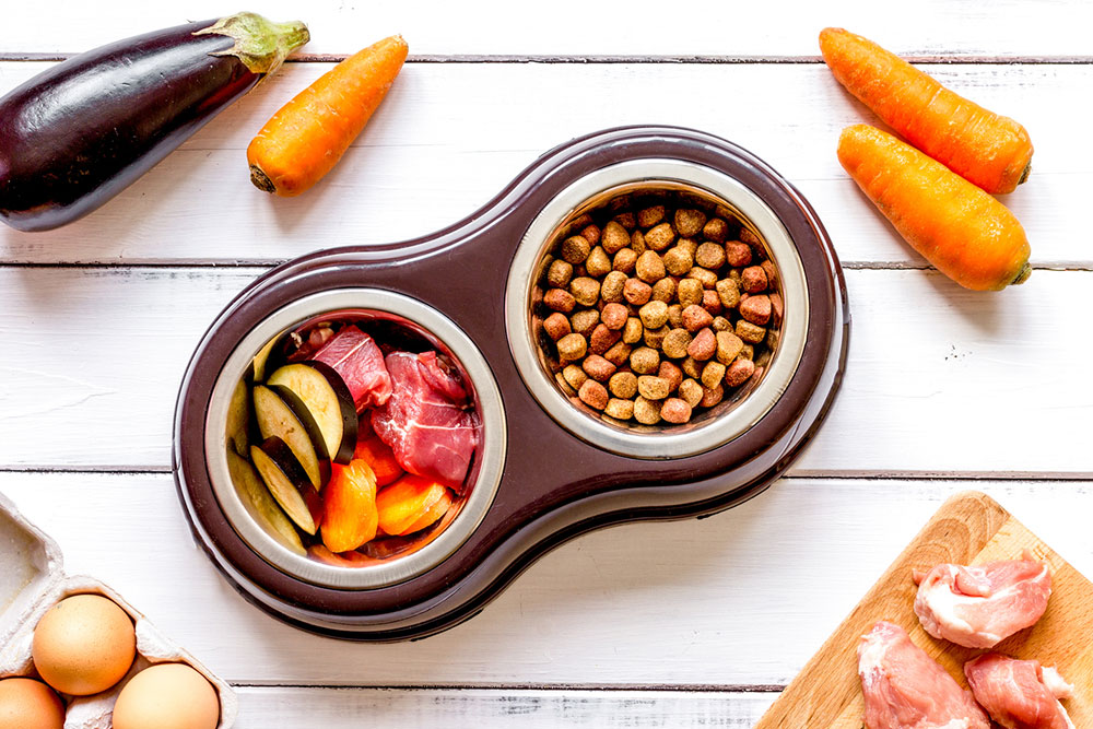 8 Common Food Allergy Symptoms in Dogs