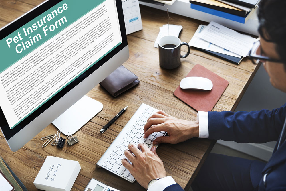 Importance of Pet Insurance